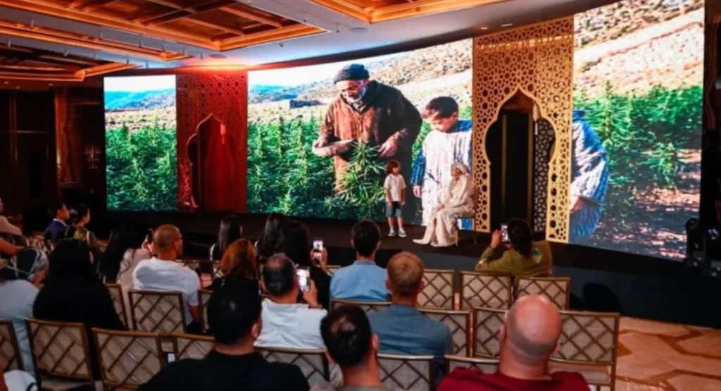 MOROCCOCAN lanserar naturlig kosmetikserie med reglerad cannabisolja MOROCCOCAN lanserar naturlig kosmetikserie med reglerad cannabisolja